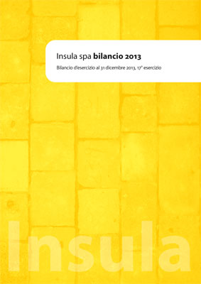 immagine della copertina del bilancio 2013